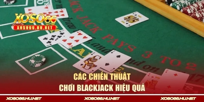 Các chiến thuật cá cược hiệu quả giúp nâng cao cơ hội thắng