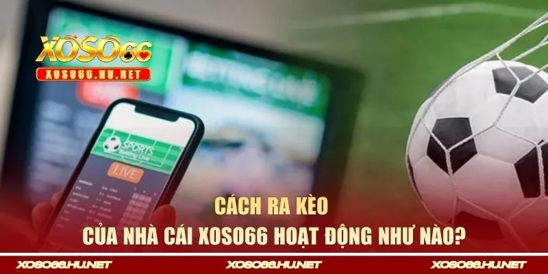 Cách ra kèo của nhà cái XOSO66 hoạt động như nào?