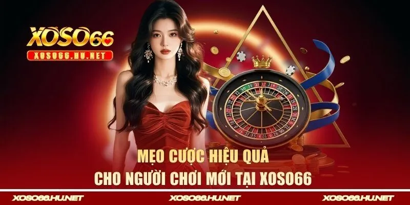 Mẹo cược hiệu quả cho người chơi mới tại Xoso66 