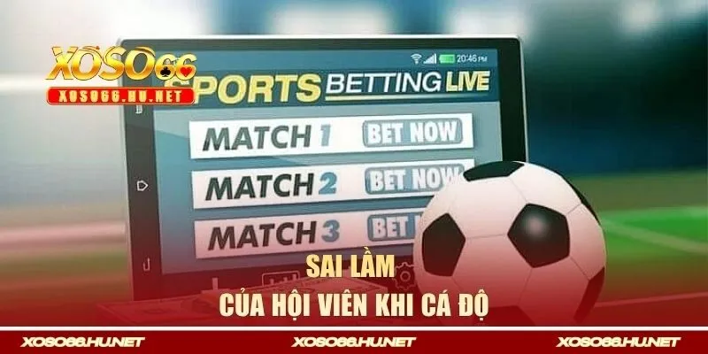 Sai lầm của hội viên khi cá độ