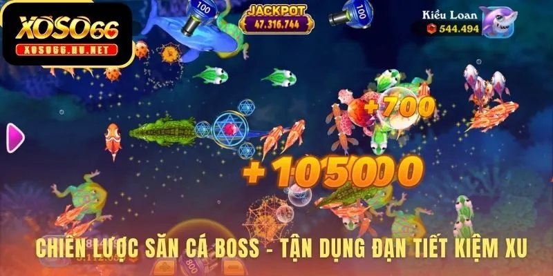 Chiến lược săn Boss hiệu quả giúp bảo toàn vốn thông minh