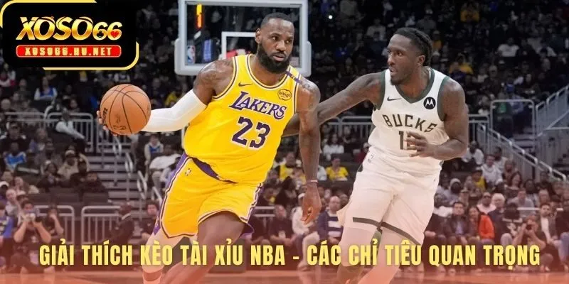 Phân tích kèo Tài Xỉu NBA bằng các chỉ số chuyên sâu